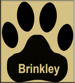 Brinkley