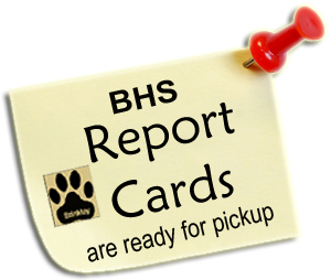 BHS